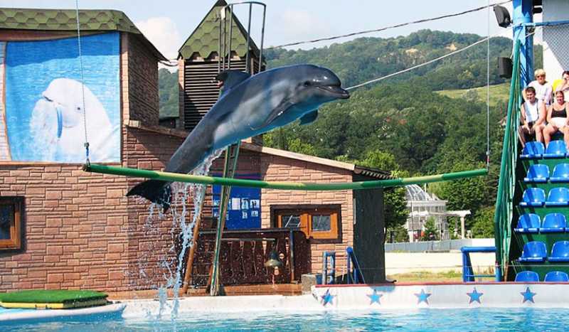 Дельфинарий Адлера