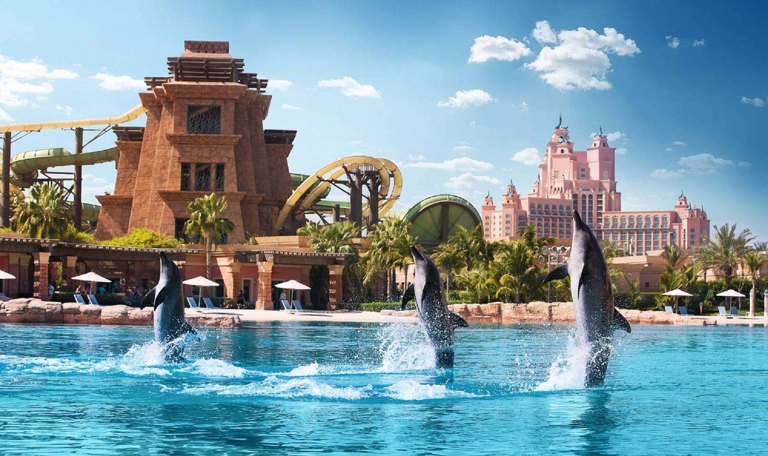 Дельфинарий Dolphin Bay