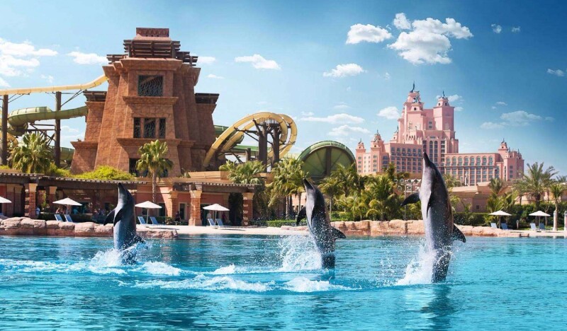 Дельфинарий Dolphin Bay