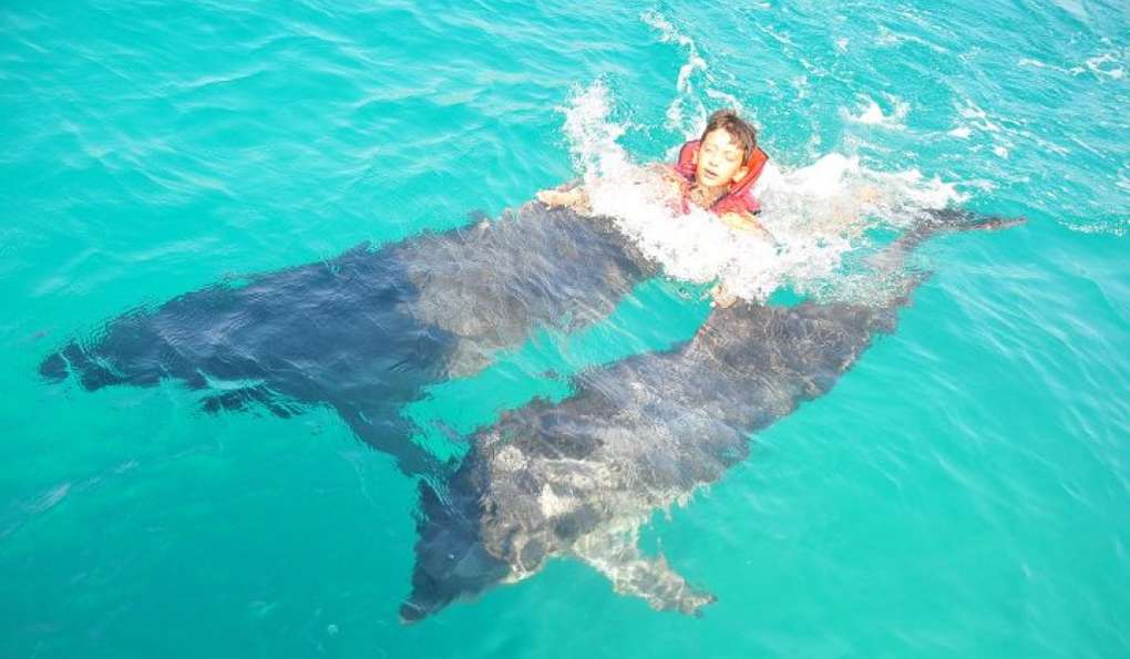 Амфитеатр Бодрума фото 1