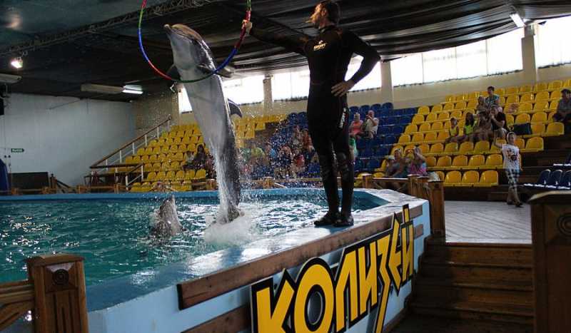 Дельфинарий Колизей