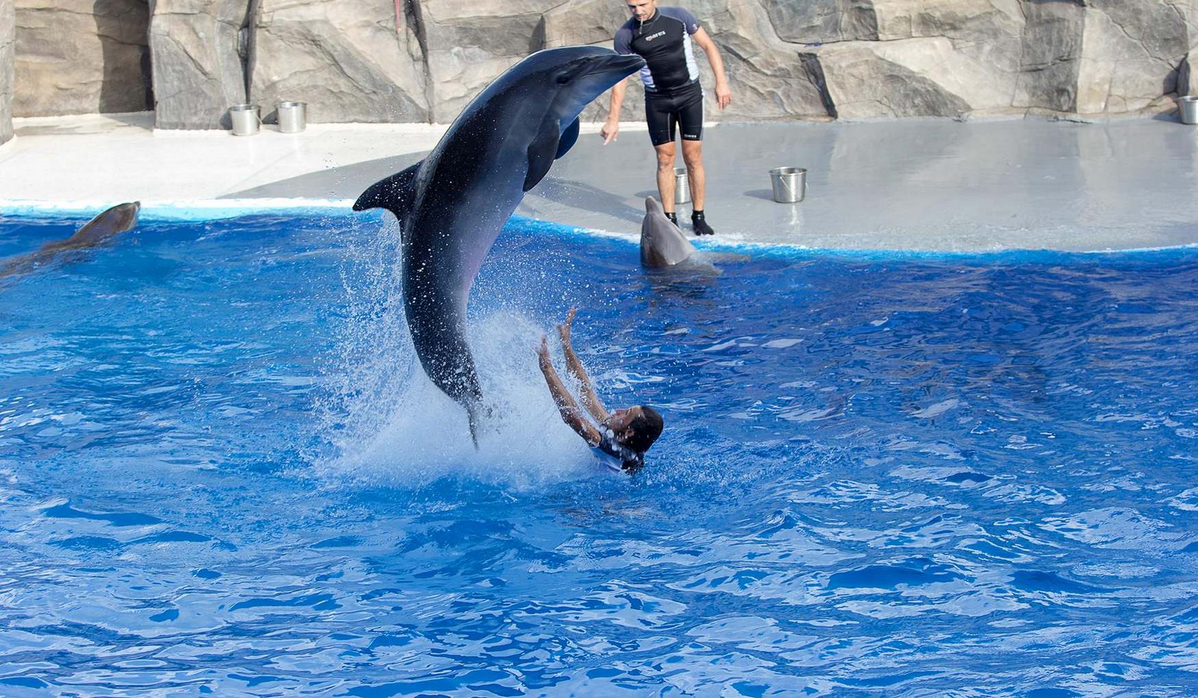 Дельфинарий в Батуми фото 1