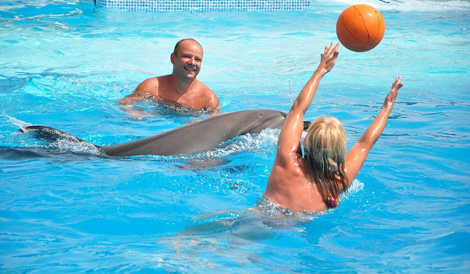 Дельфинарий в Шарм-эль-Шейхе фото 1