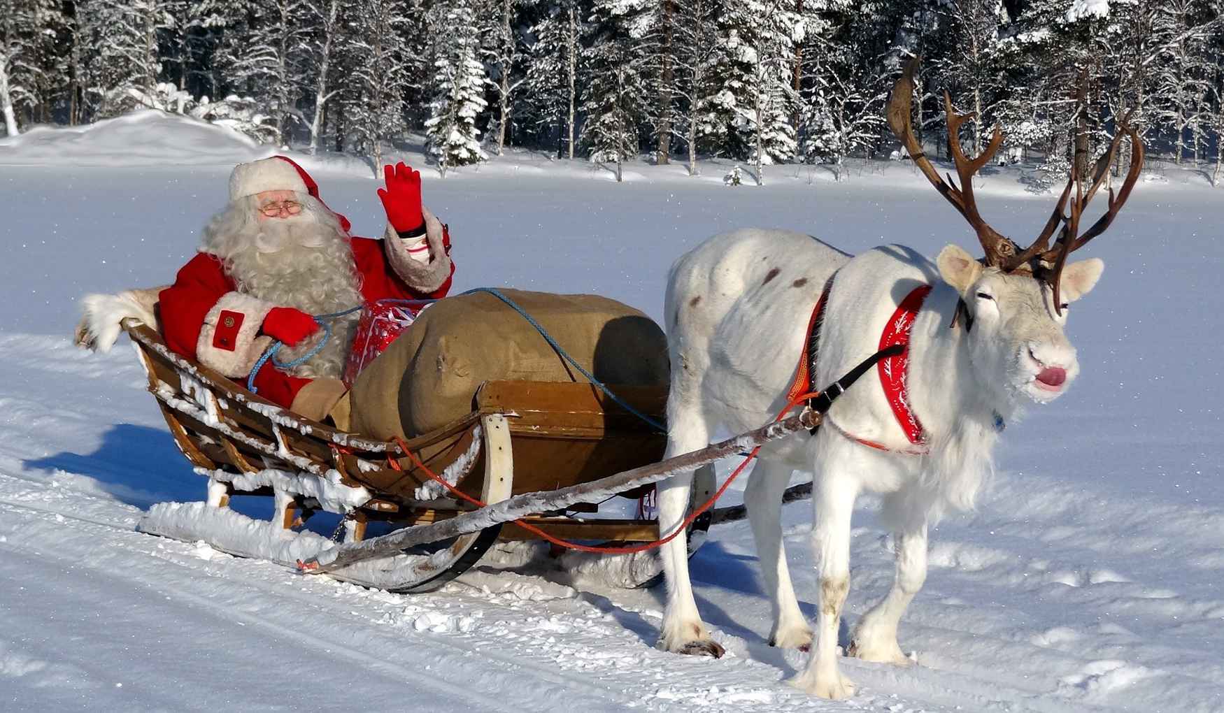 Ферма Хаски фото 1