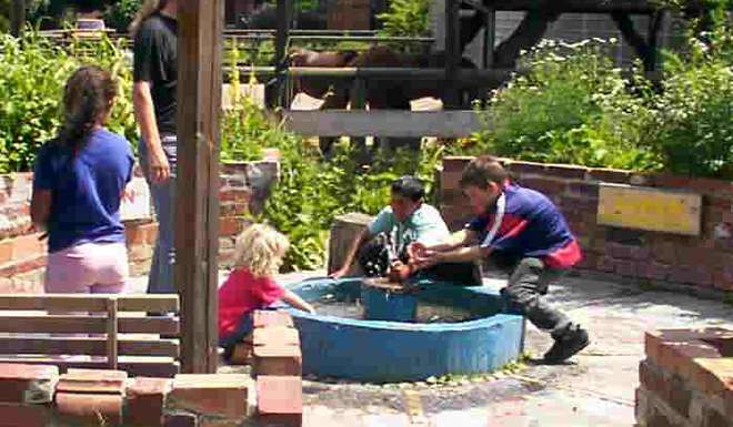 Mauerplatz Childrens Farm photo 1