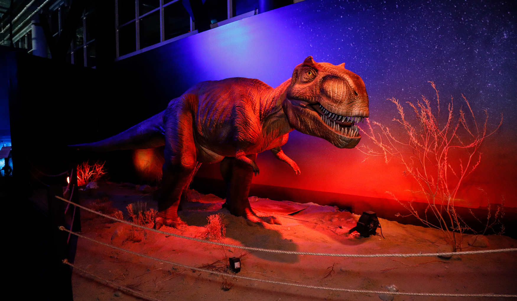 Диноклуб Сочи фото 1