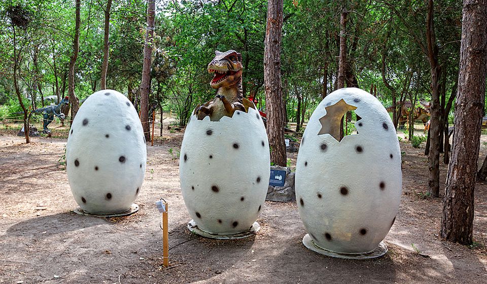 Парк развлечений Диво Остров фото 1