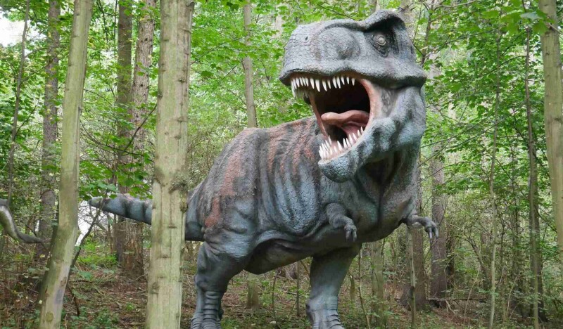 Динопарк Вышков