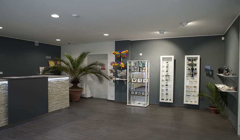 Дом Бабочек Papilonia фото 1