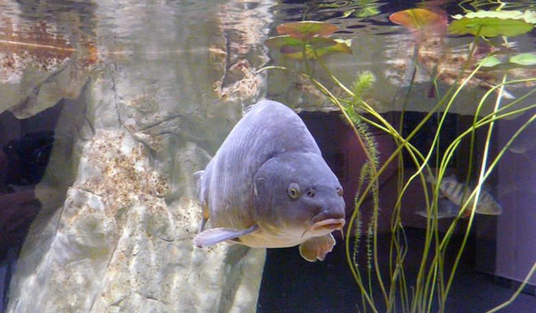 Дом Моря в Вене фото 1