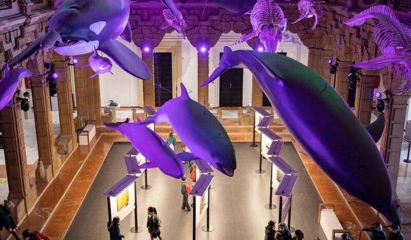 Дом Науки в Севилье