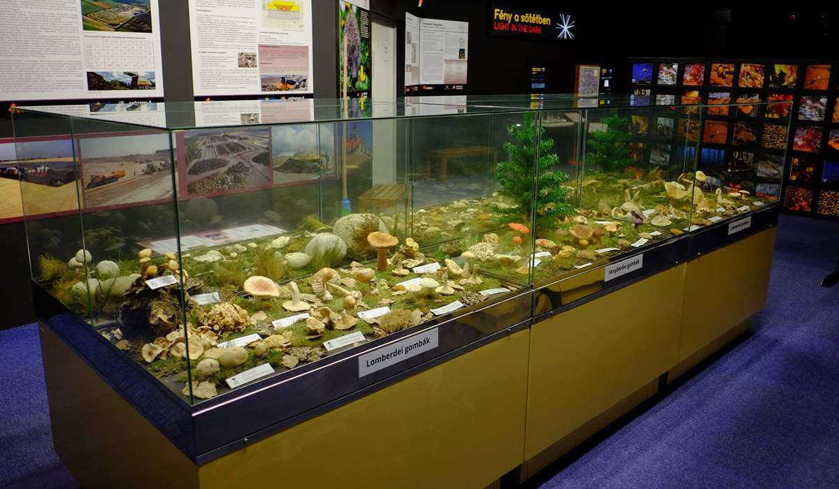 Научный Центр Agora фото 1