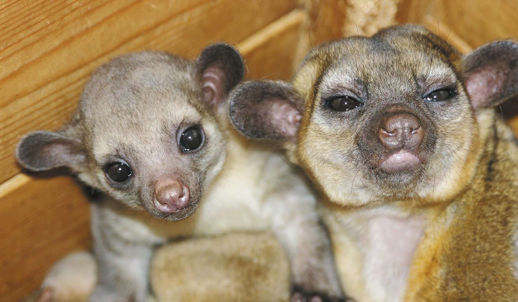 Океанариум Екатеринбурга фото 1