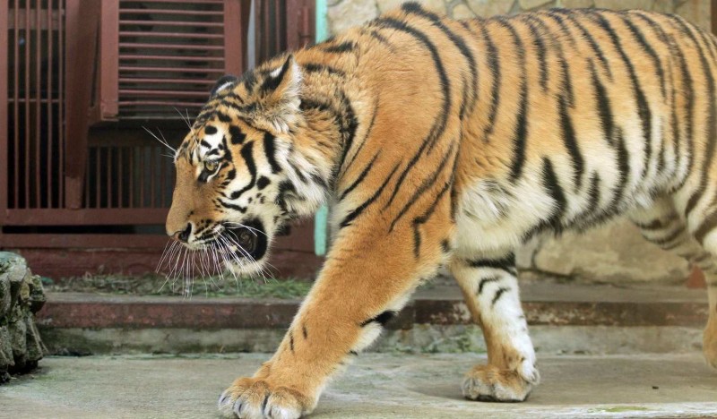 Екатеринбургский Зоопарк