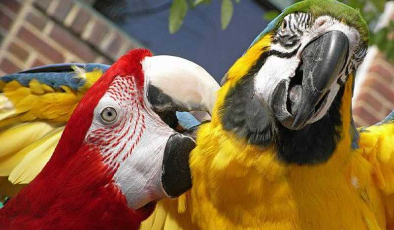 Экопарк в Текирове (ЗАКРЫТ)