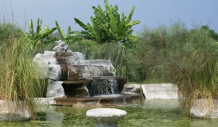 Экопарк в Текирове (ЗАКРЫТ) фото 1