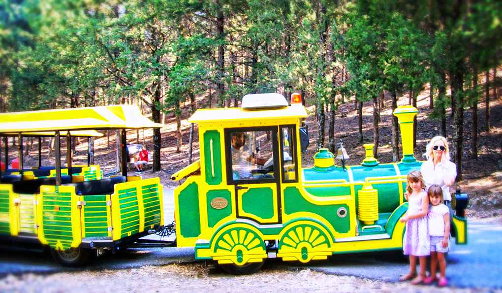 Экскурсионные поезда фото 1