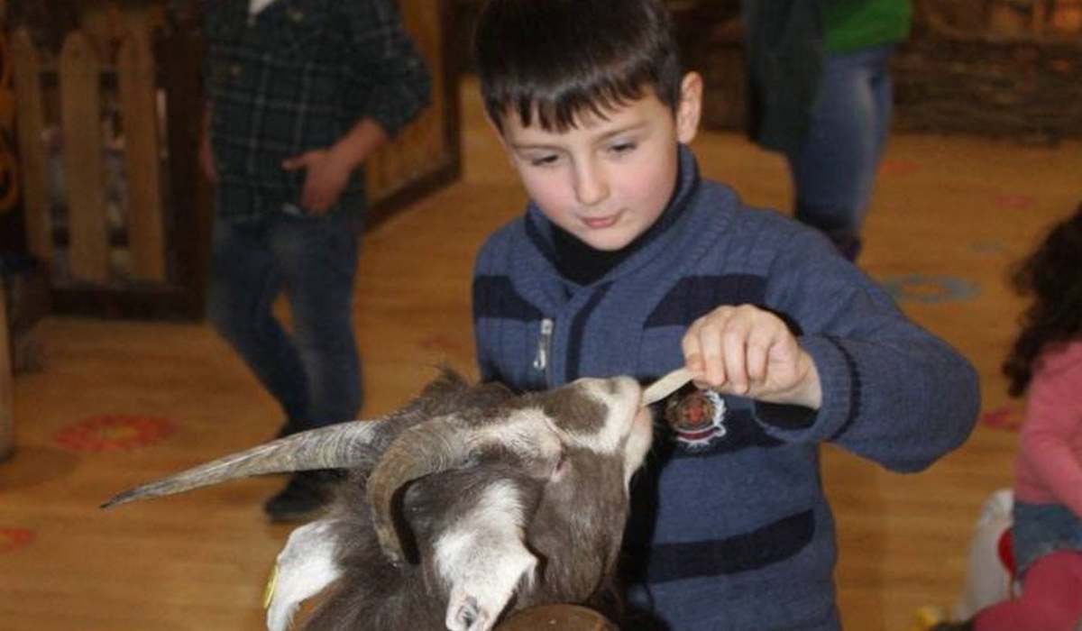 Fauna Land (ЗАКРЫТ) фото 1