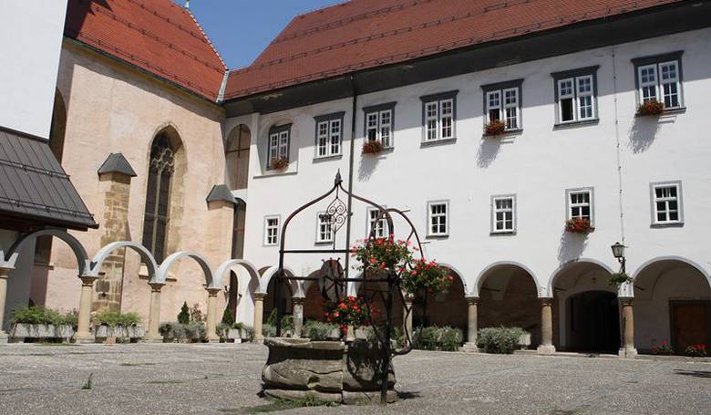 Природоведческий Музей Словении фото 1