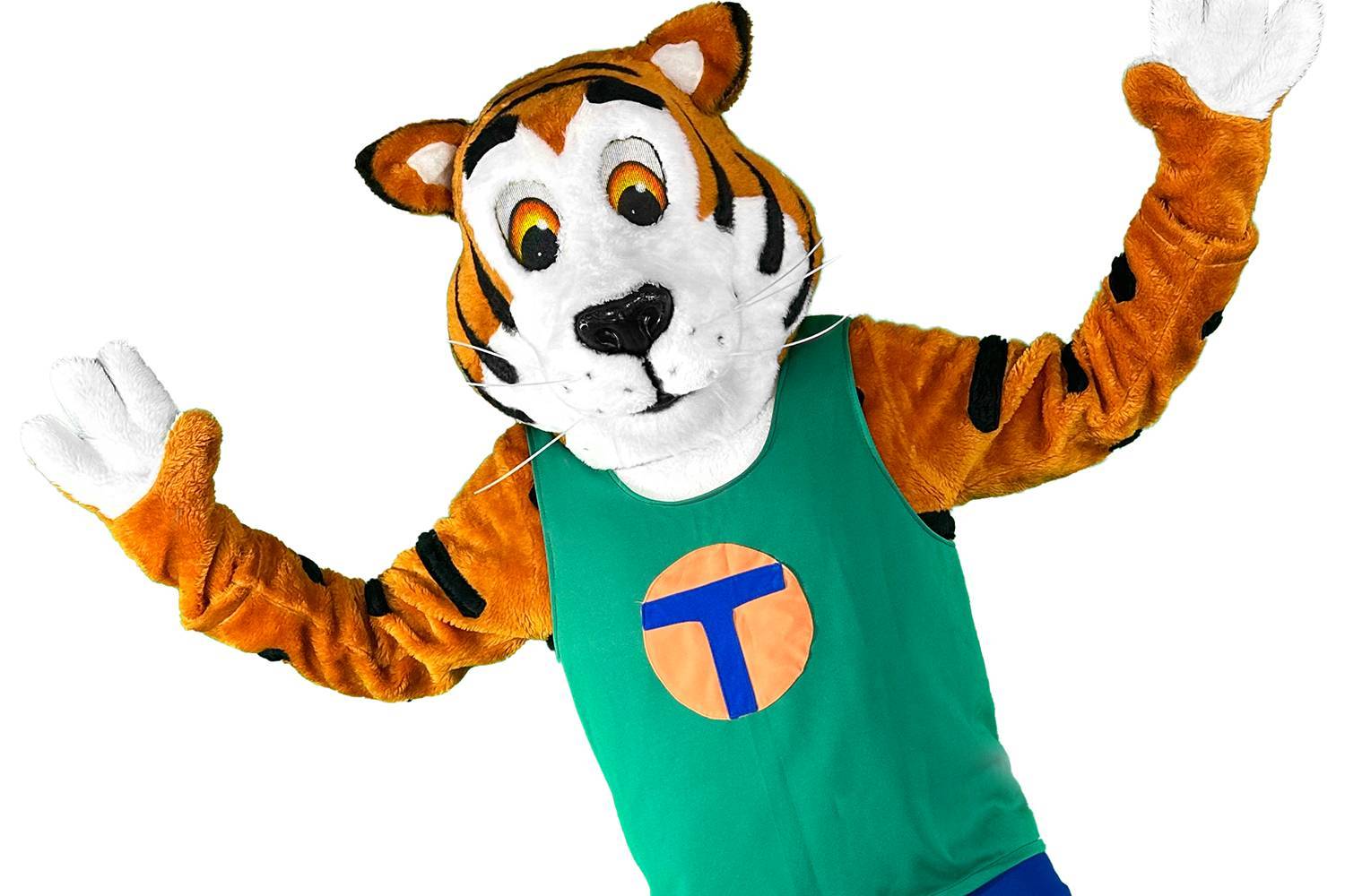 Игровой парк Tommys Turbulente Tobewelt фото 1