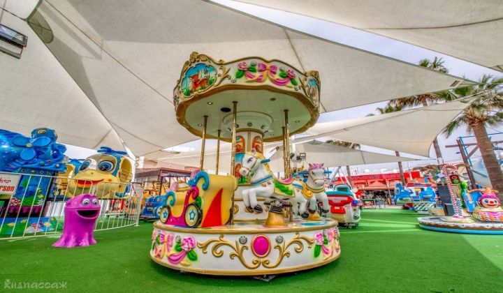 dolfins luna park фото 2