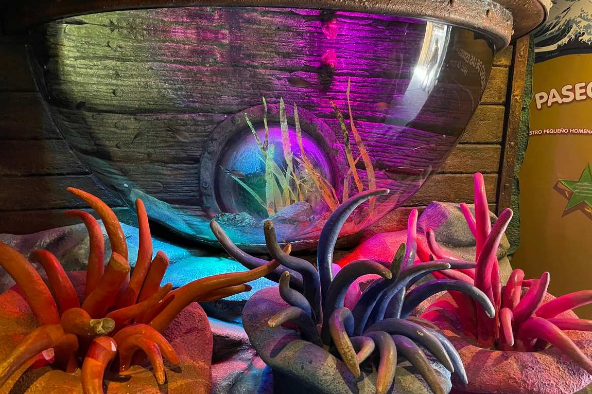 аквариум sea life benalmadena фото 2