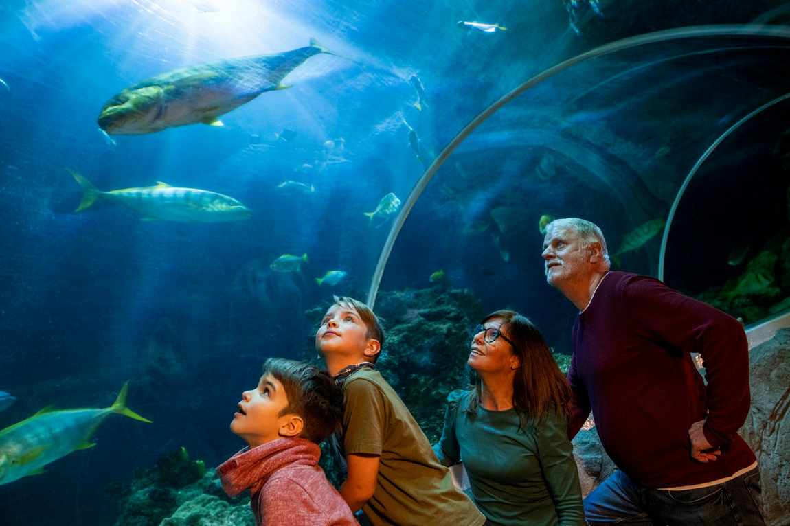 sea life oberhausen photo 1