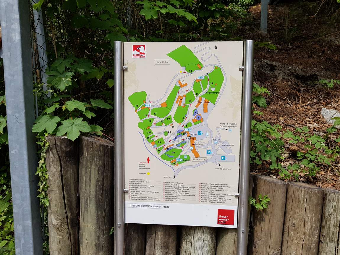 зоопарк alpenzoo в инсбруке фото 5