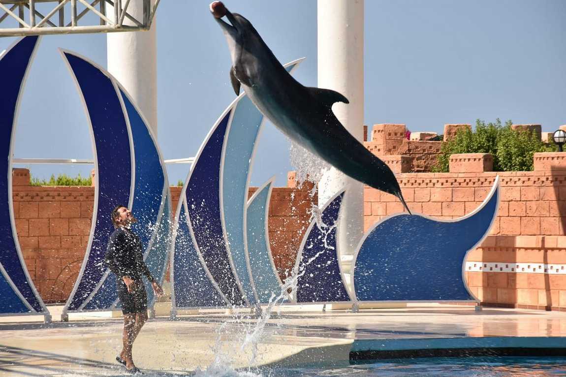sealanya sea park фото 2