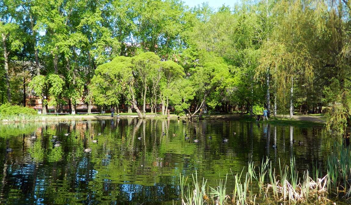 дендропарк екатеринбурга фото 1