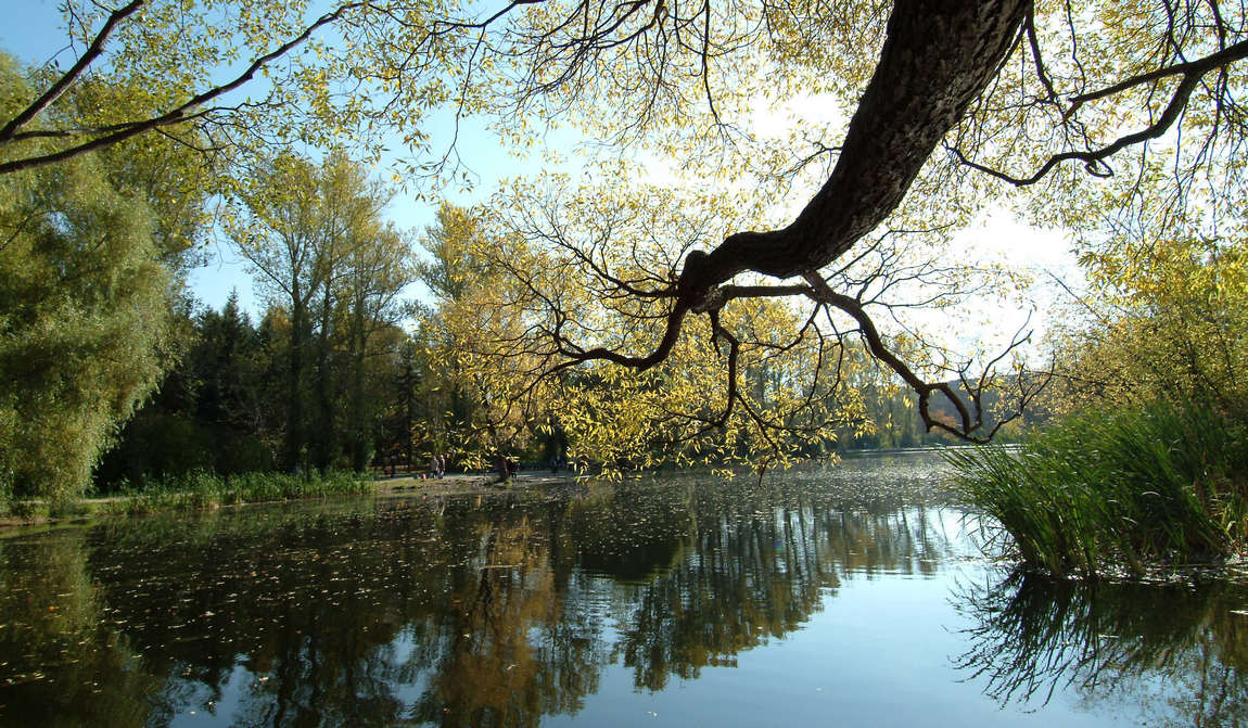 дендропарк екатеринбурга фото 3