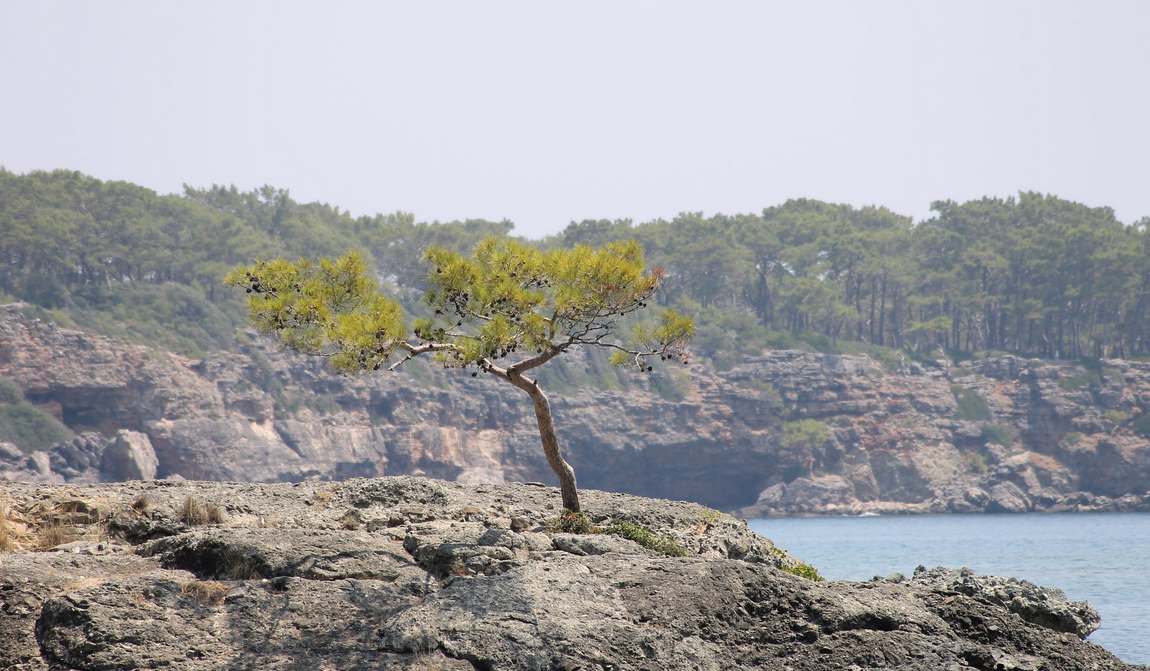 древний город фазелис фото 7