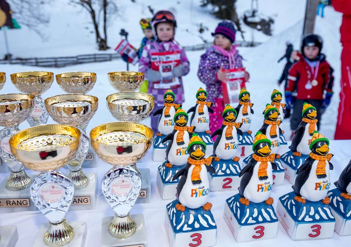 лыжная школа sport skischule kleinarl фото 3