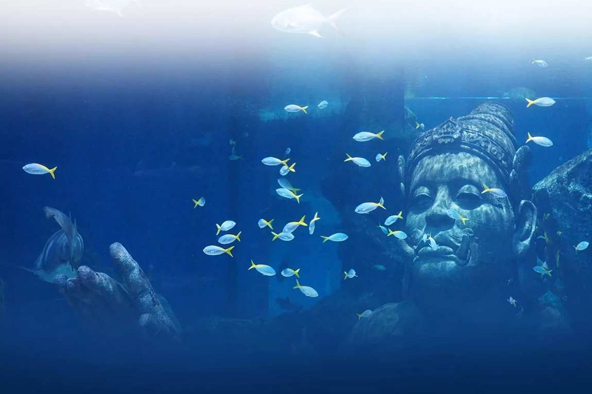 sea life bangkok ocean world фото 1