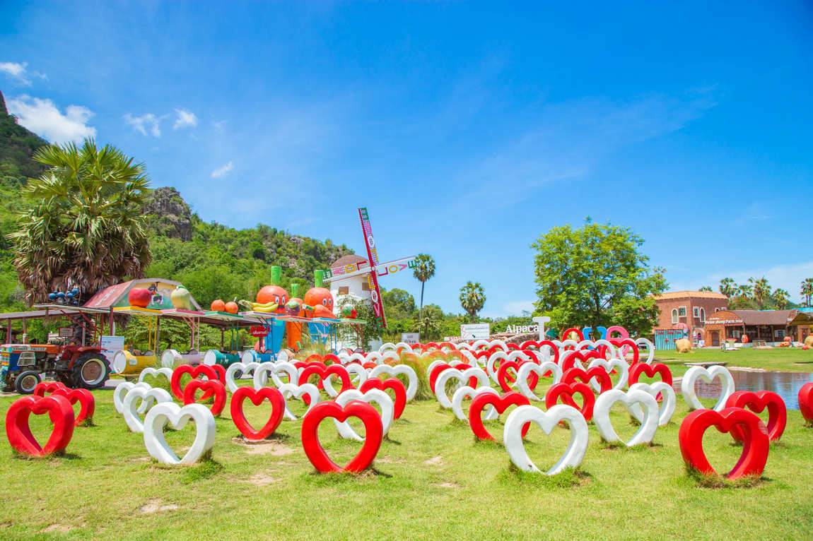 овечья ферма swiss sheep farm в ча-аме фото 2
