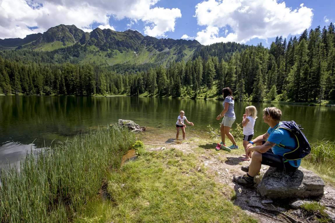 парк дикой природы untertauern фото 2