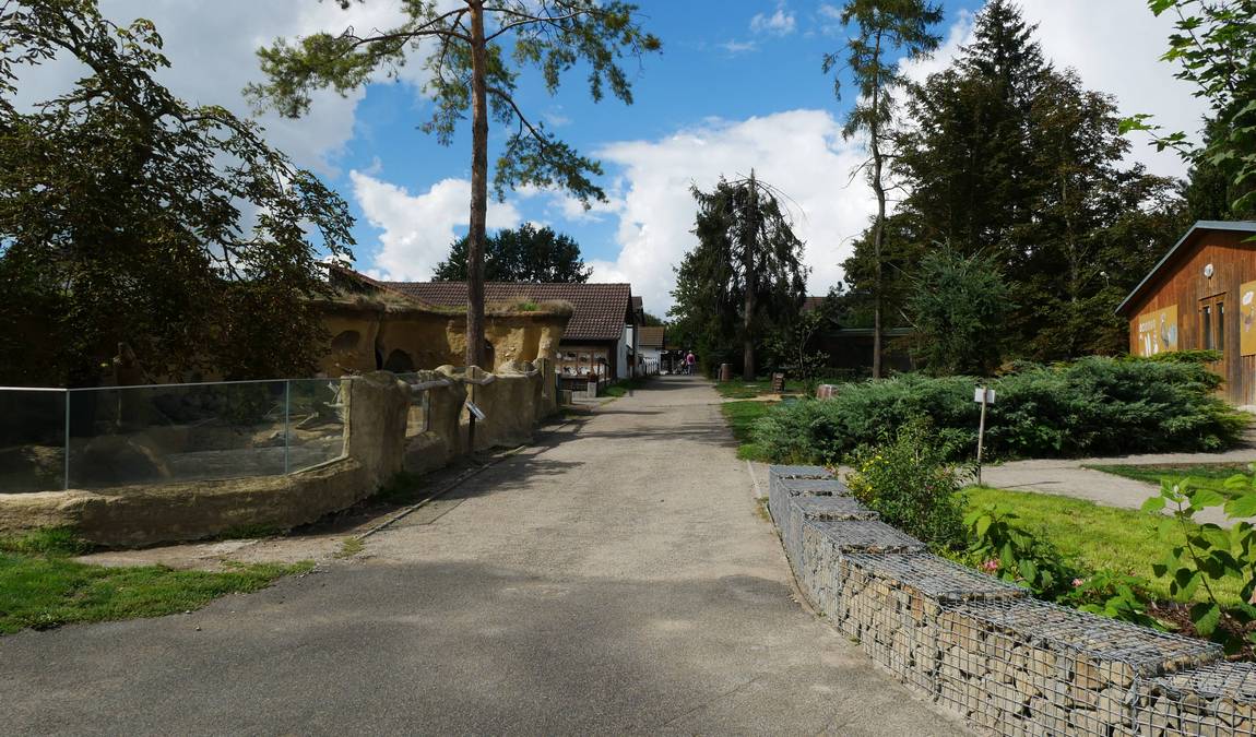 зоопарк вышков (zoopark vyškov) фото 4