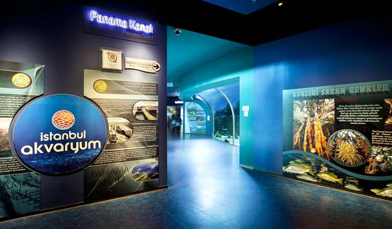Стамбульский Аквариум фото 1