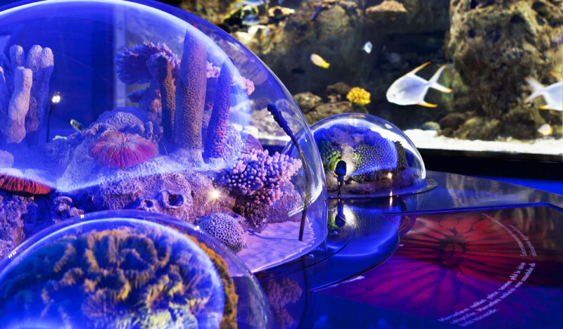 Стамбульский Аквариум