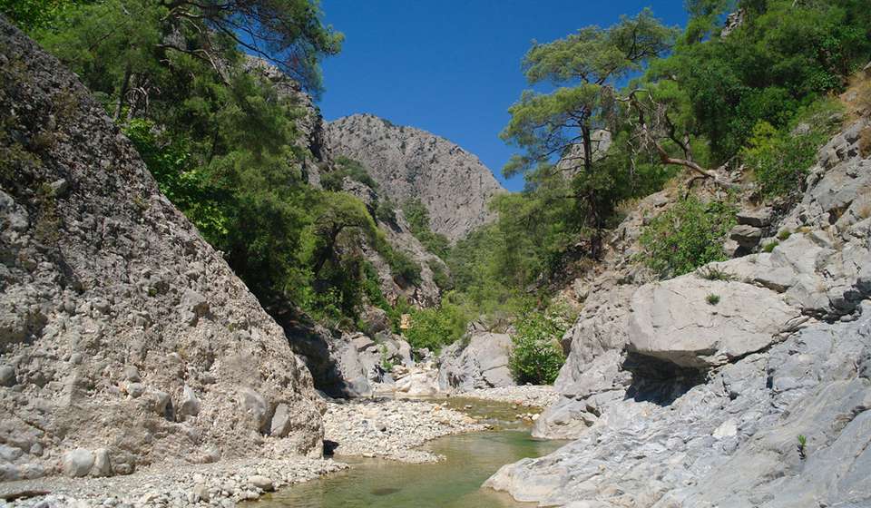 Каньон Гейнюк фото 1