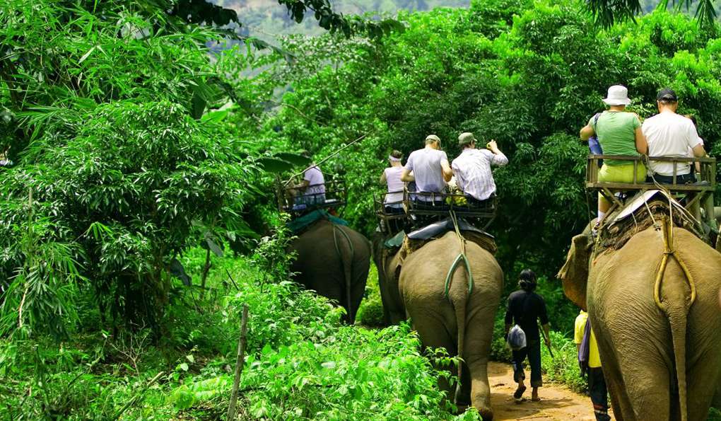 Ферма Сомов фото 1