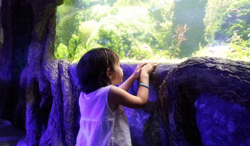 Киевский Океанариум на Дарнице