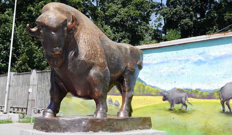 Киевский Зоопарк