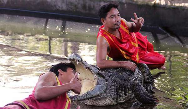 Крокодиловая Ферма на Самуи фото 1