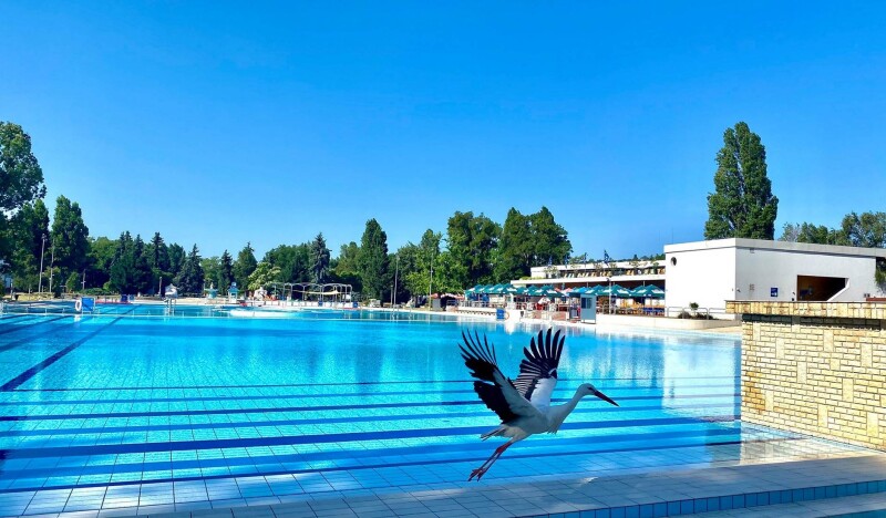 Купальня Палатинус в Будапеште