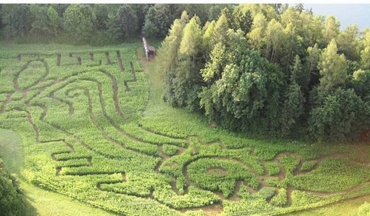 Лабиринт (ЗАКРЫТ) фото 1