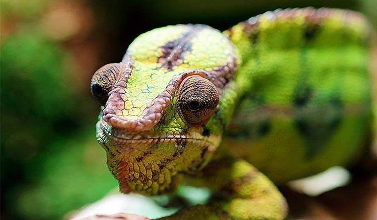 Сад Бабочек Миндо фото 1