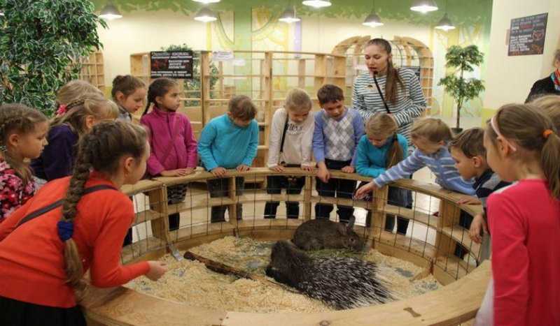 «Лесное Посольство» Контактный Зоопарк