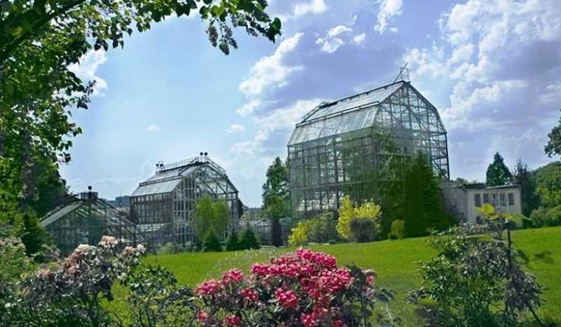 Львовский Ботанический Сад
