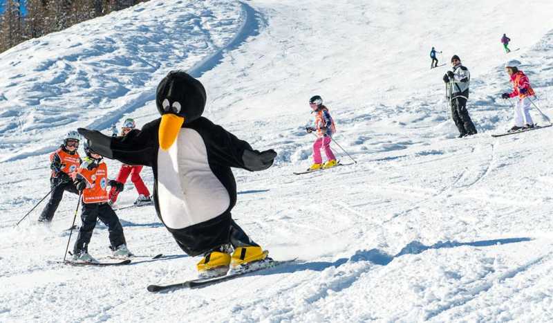 Top Alpin Walchhofer Ski School